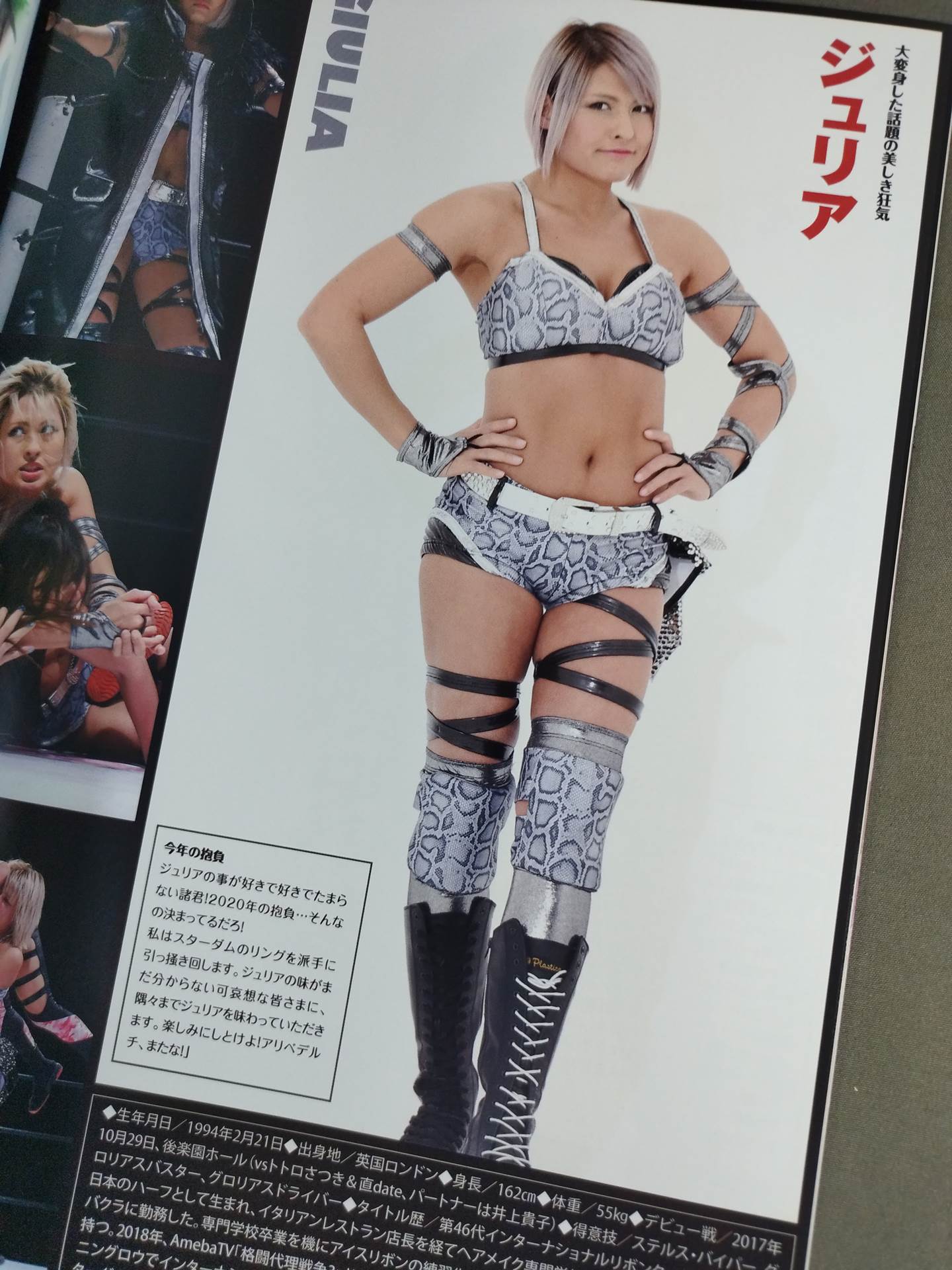 STARDOM OFFICIAL GUIDE BOOK Vol.129