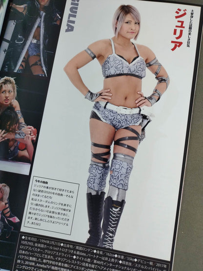 STARDOM OFFICIAL GUIDE BOOK Vol.129