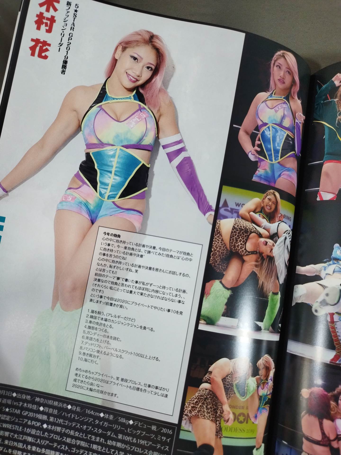 STARDOM OFFICIAL GUIDE BOOK Vol.129