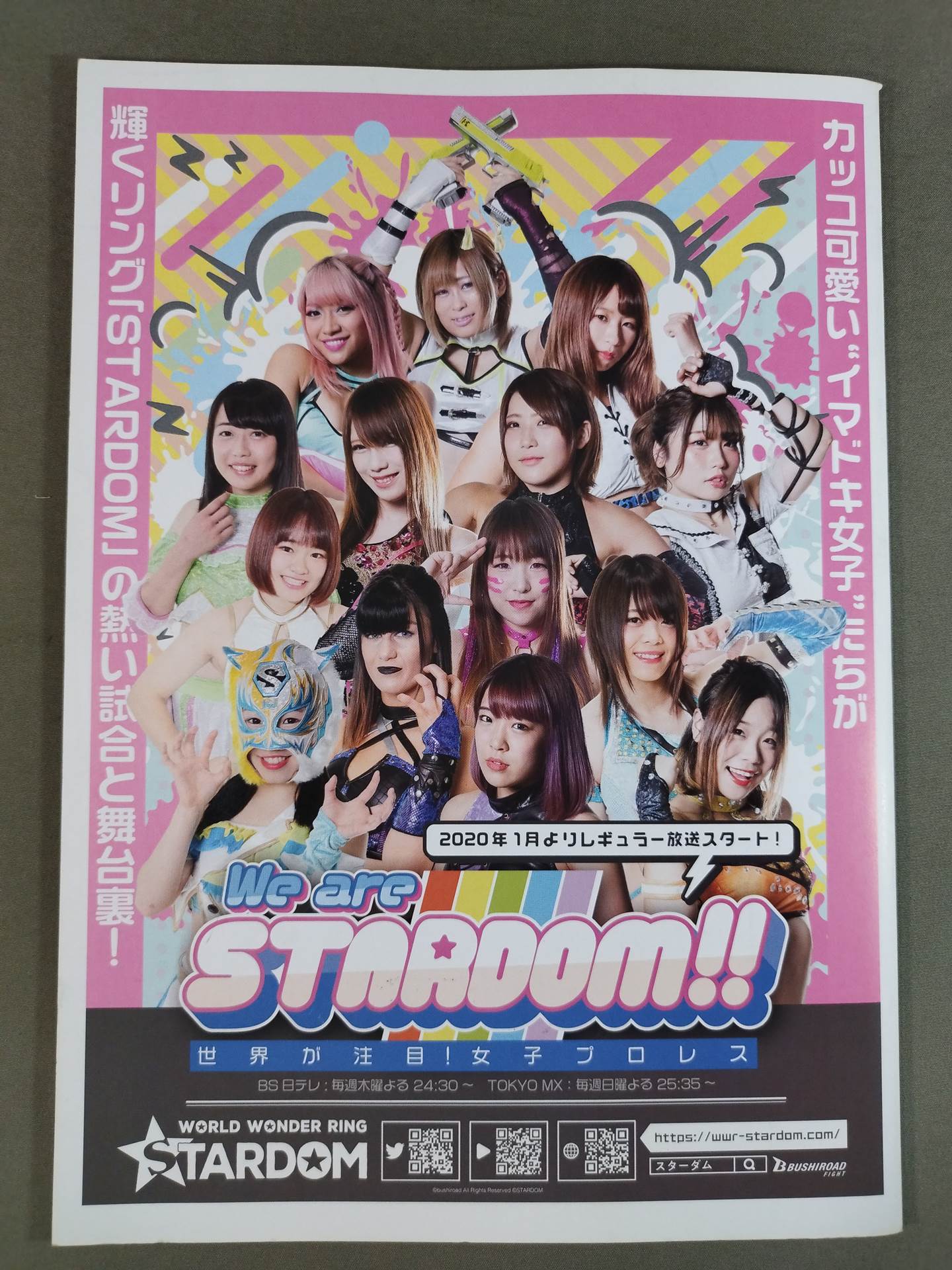 STARDOM OFFICIAL GUIDE BOOK Vol.129