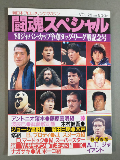 闘魂スペシャル29