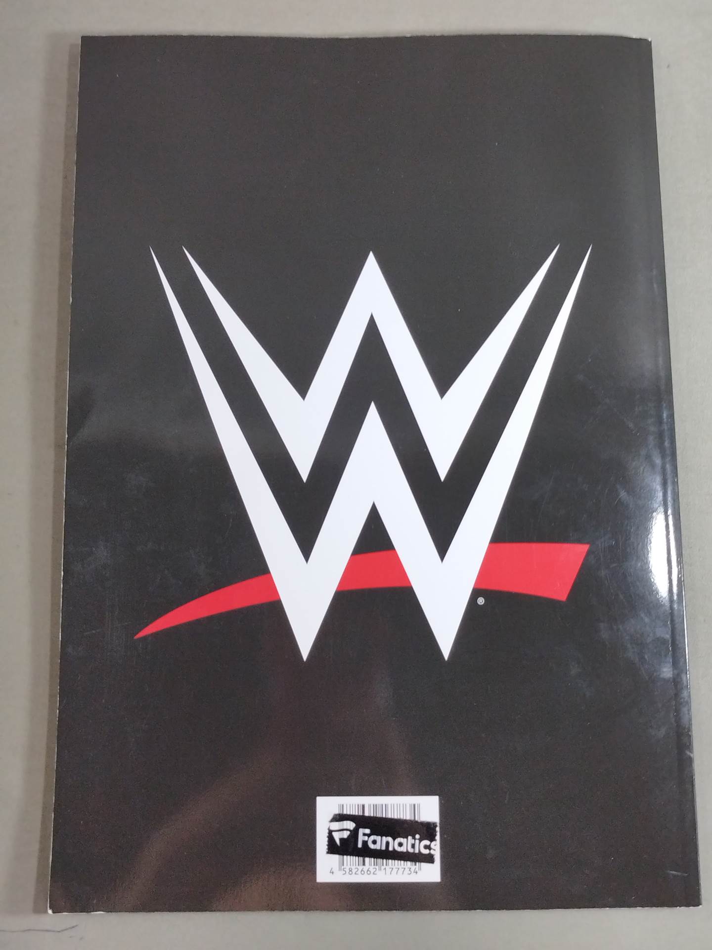 WWE OFFICIAL PROGRAM 2024