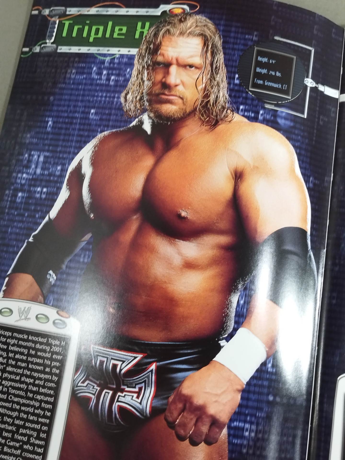 WWE OFFICIAL SOUVENIR PROGRAM 2002