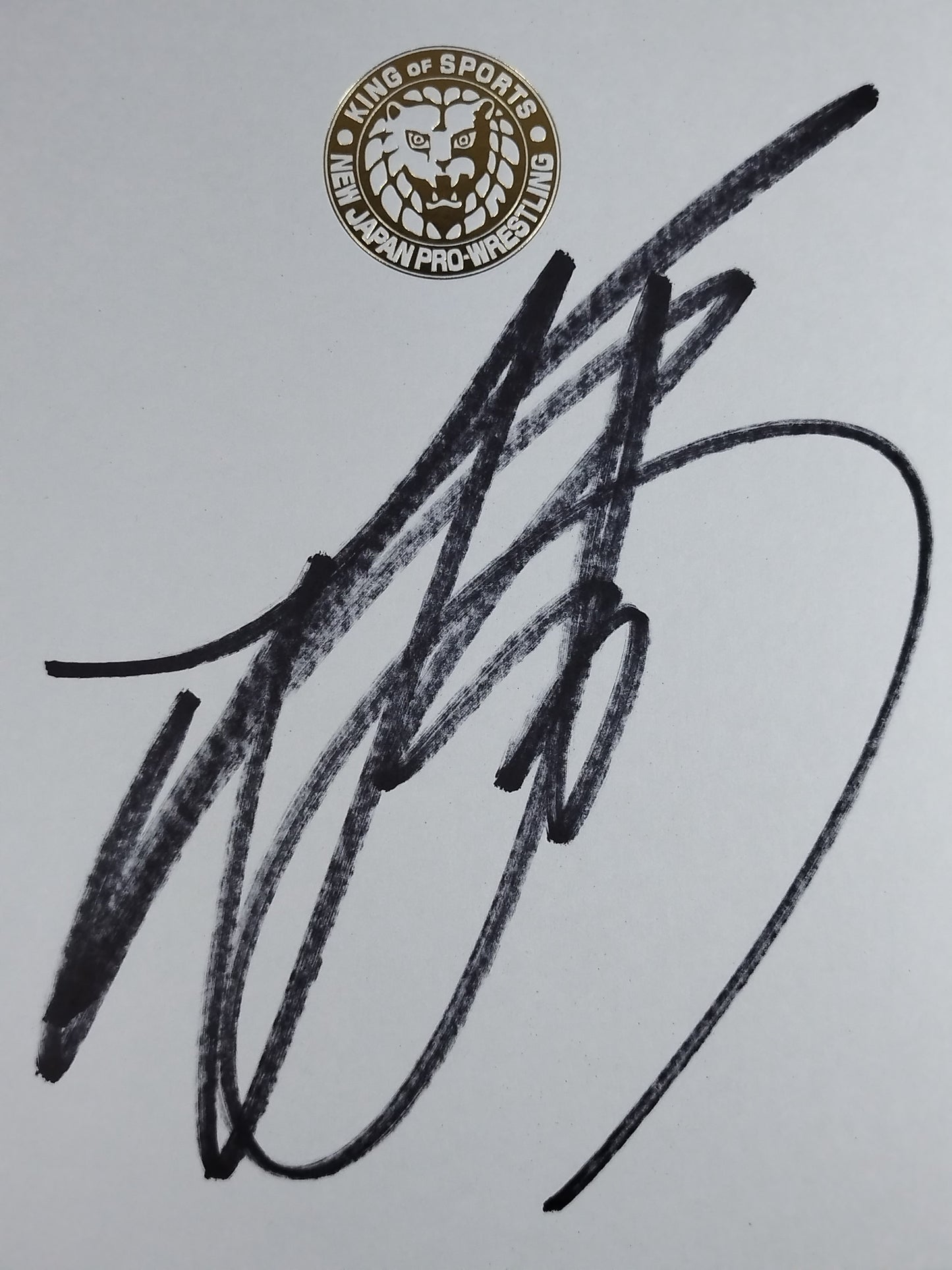 YOSHI-HASHI(ライオンマーク色紙)