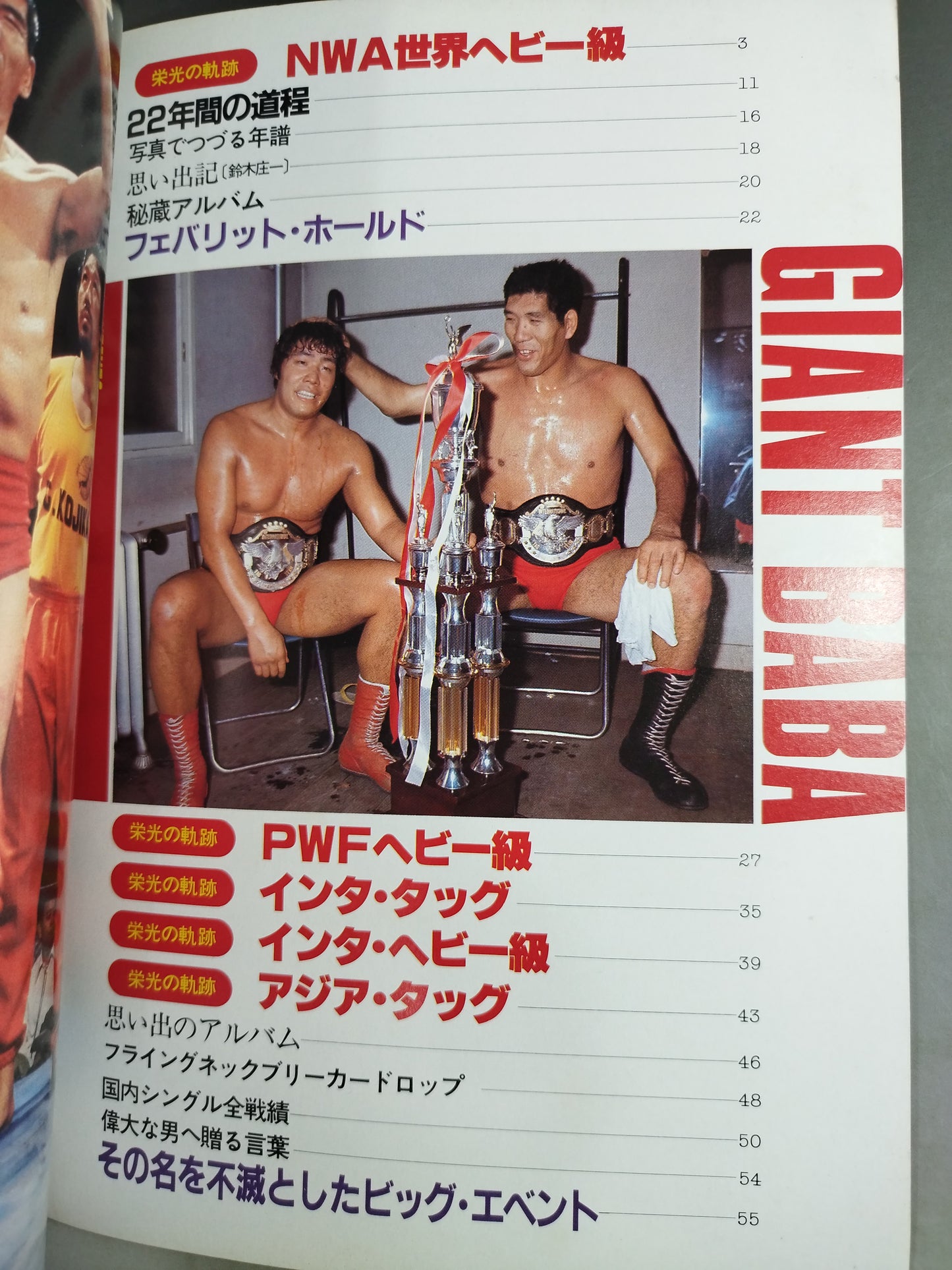 プロレスアルバム26 ジャイアント馬場 改訂版