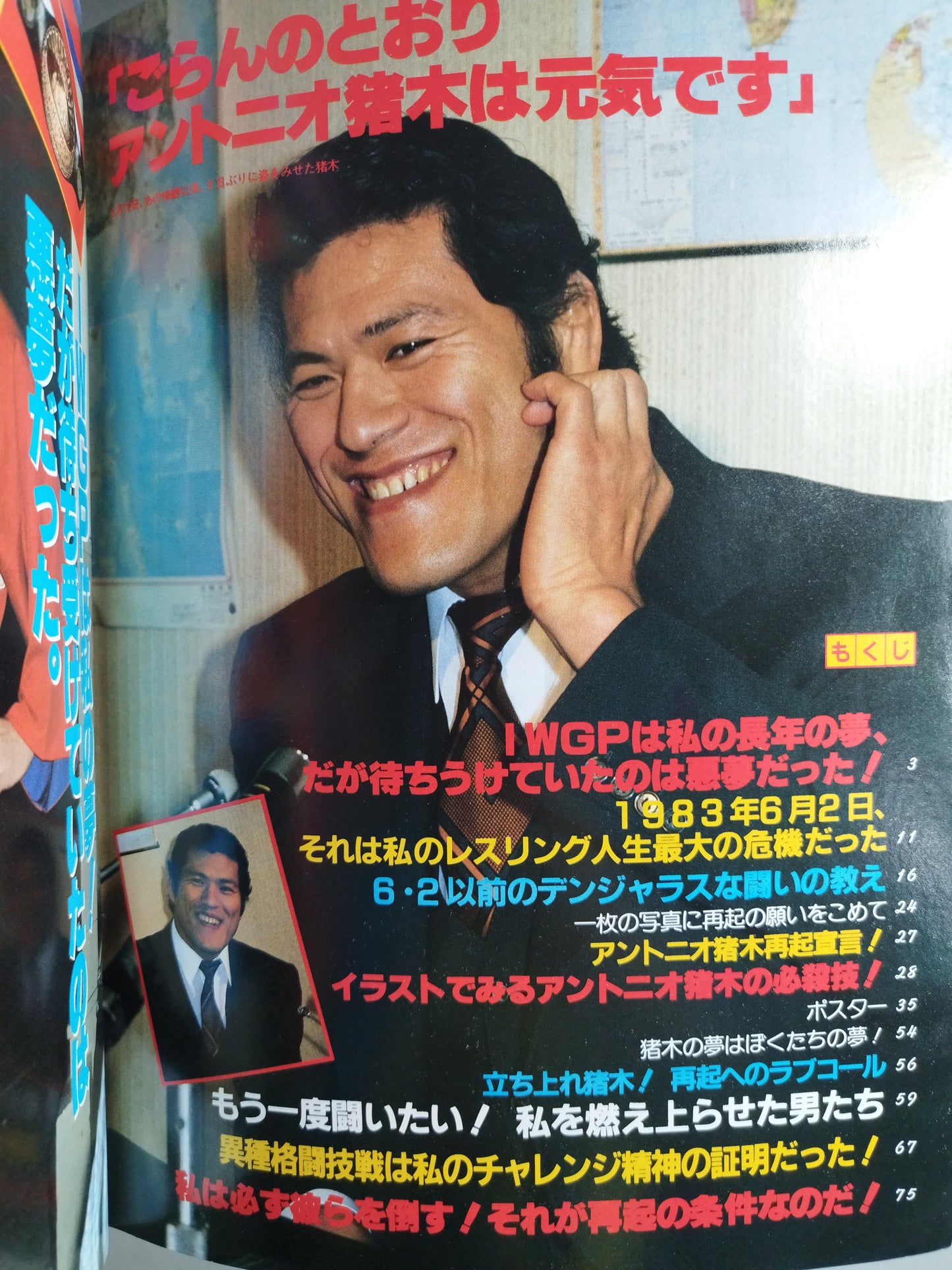 プロレスアルバム34 立ち上がれ!アントニオ猪木