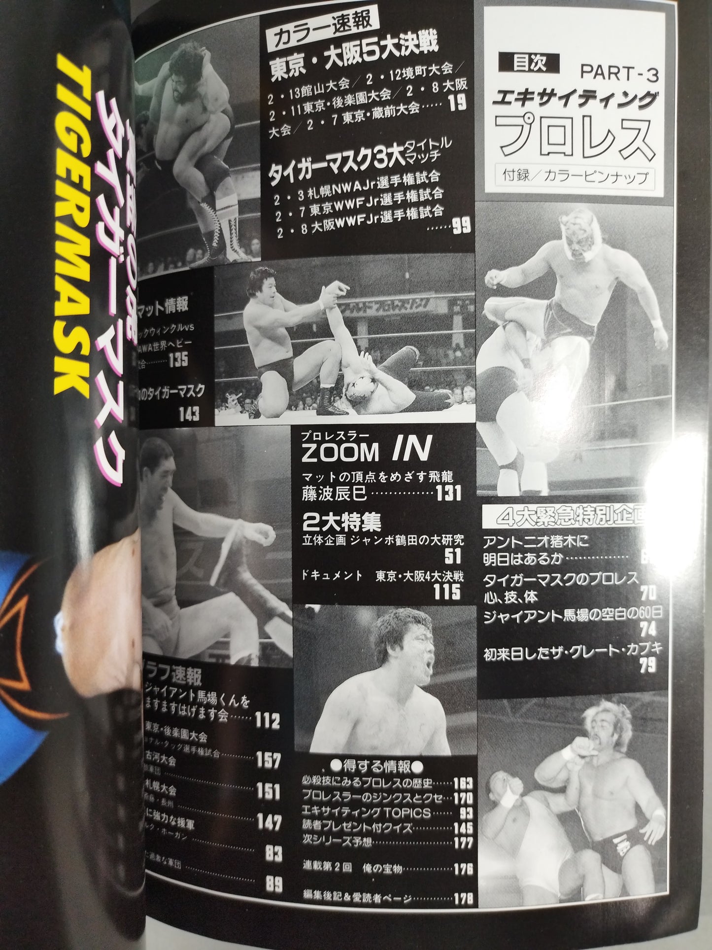 エキサイティングプロレス デラックス版PART-3