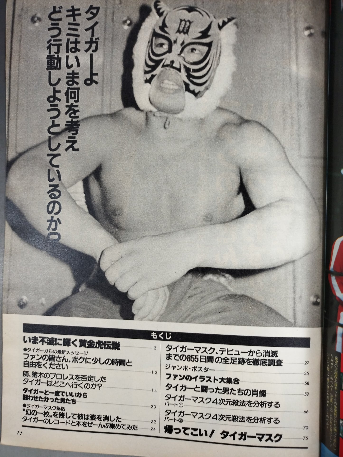 プロレスアルバム38 タイガーマスク フォーエバー