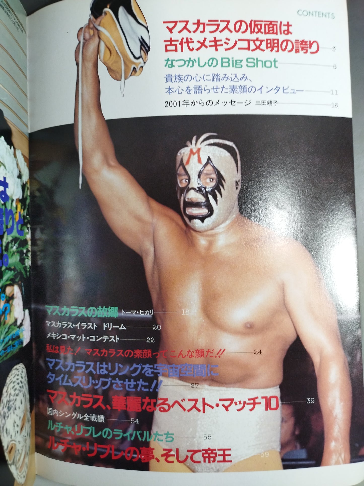 プロレスアルバム29 ミル・マスカラス 改訂版