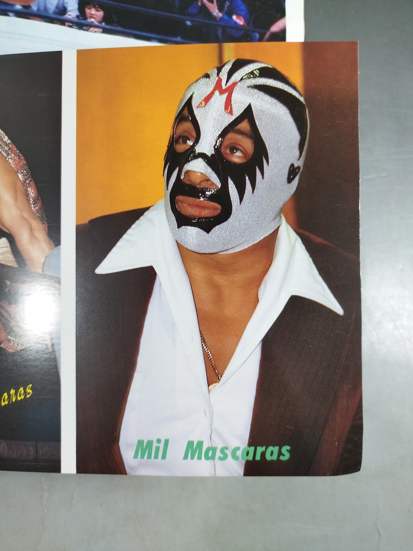 プロレスアルバム29 ミル・マスカラス 改訂版