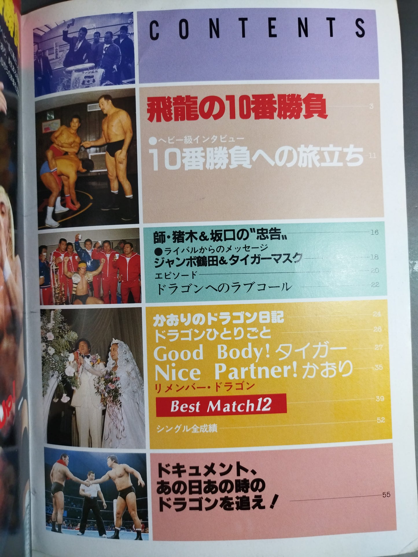 プロレスアルバム23 藤波辰巳 改訂版