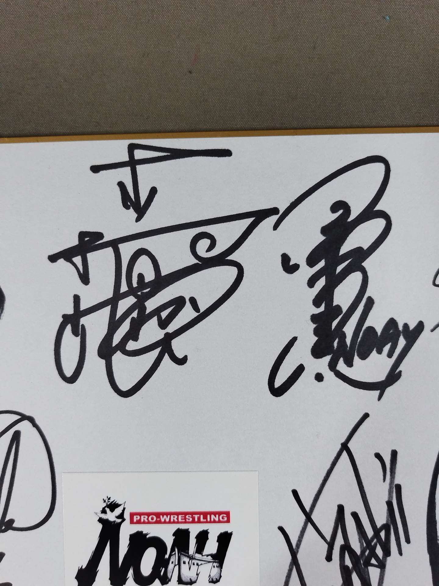 NOAH 17 fighters  note (with logo sticker)
