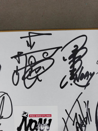 NOAH 17 fighters  note (with logo sticker)