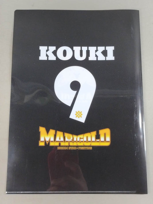 Amarei Kouki  #9 Marigold plastic file folder 