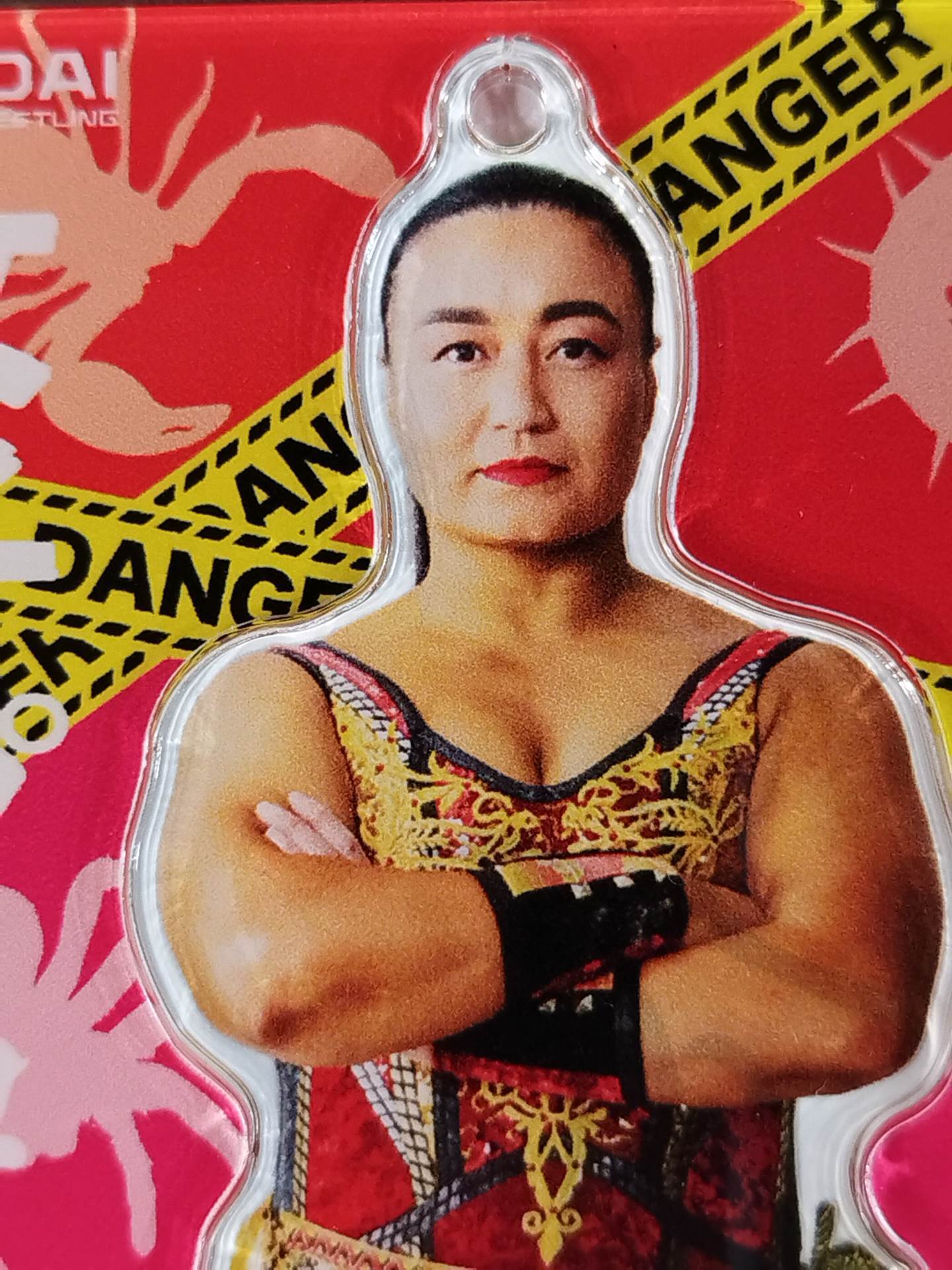 【hand signed autograph】 Meiko Satomura  Acrylic Stand