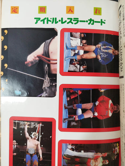 月刊プロレス 1982年6月号
