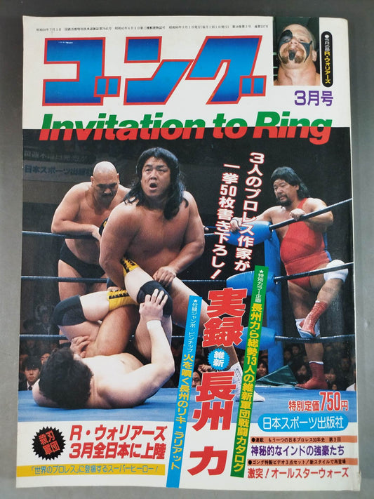 月刊ゴングVol.18 No.3