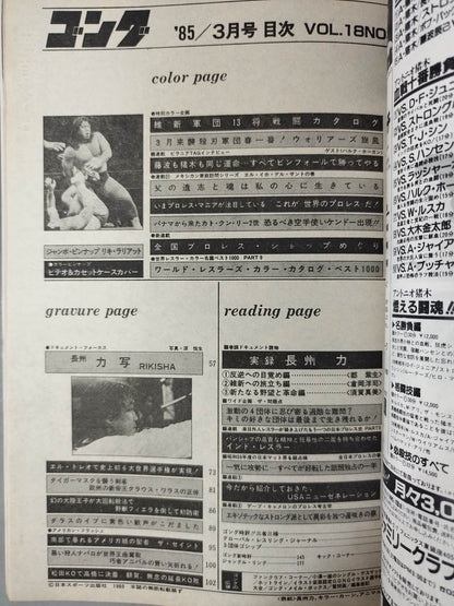 月刊ゴングVol.18 No.3
