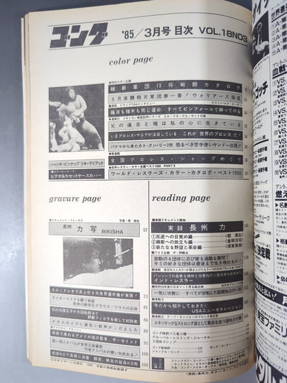 Monthly Gong Vol.18 No.3