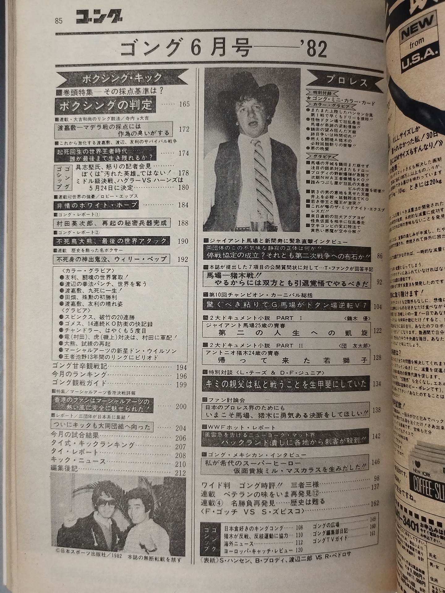★テリー・ファンク ミニカラーカード付★ 月刊ゴング Vol.15 No.6