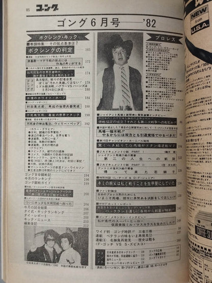 ★テリー・ファンク ミニカラーカード付★ 月刊ゴング Vol.15 No.6