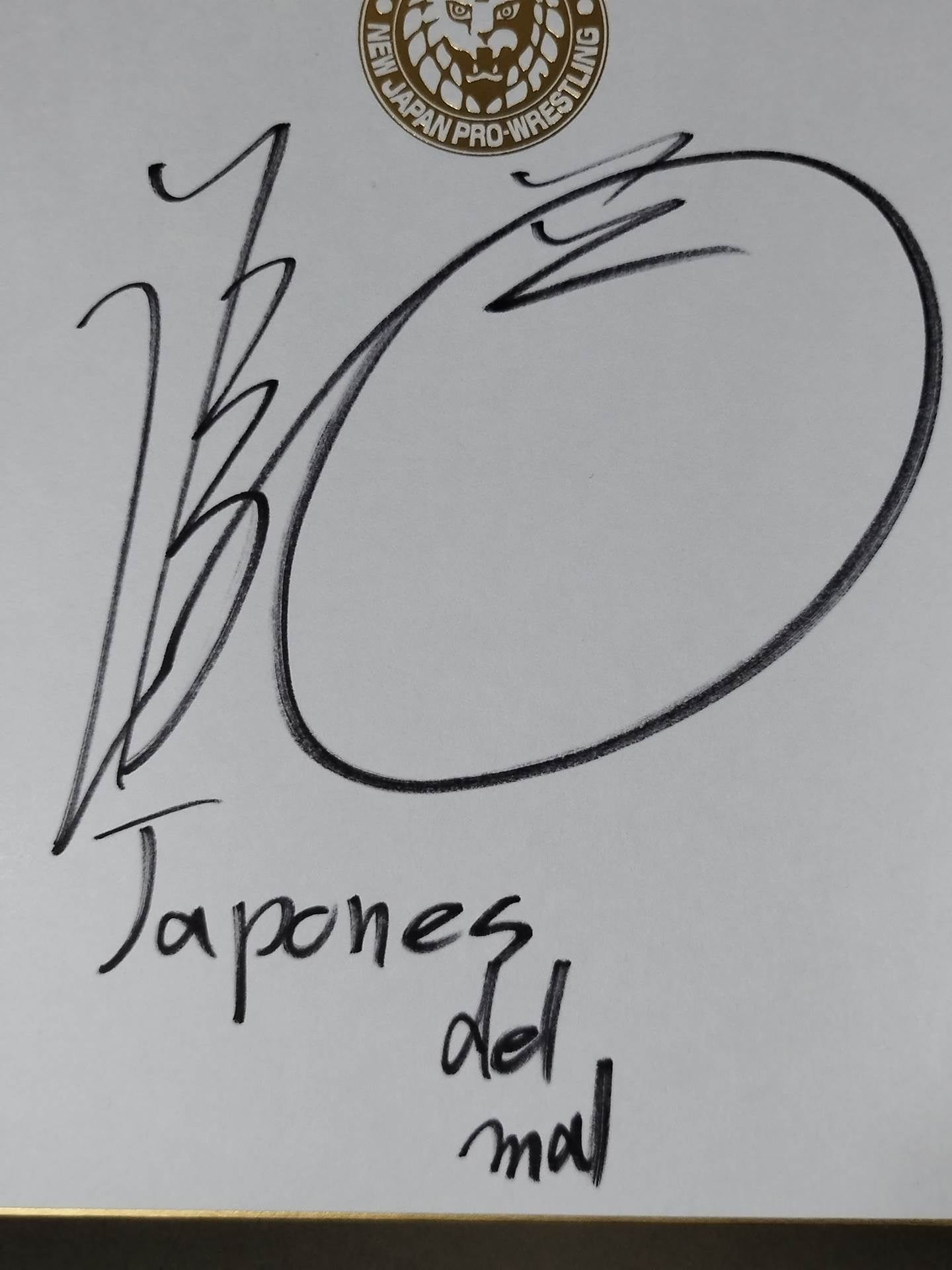 DOUKI(ライオンマーク色紙)