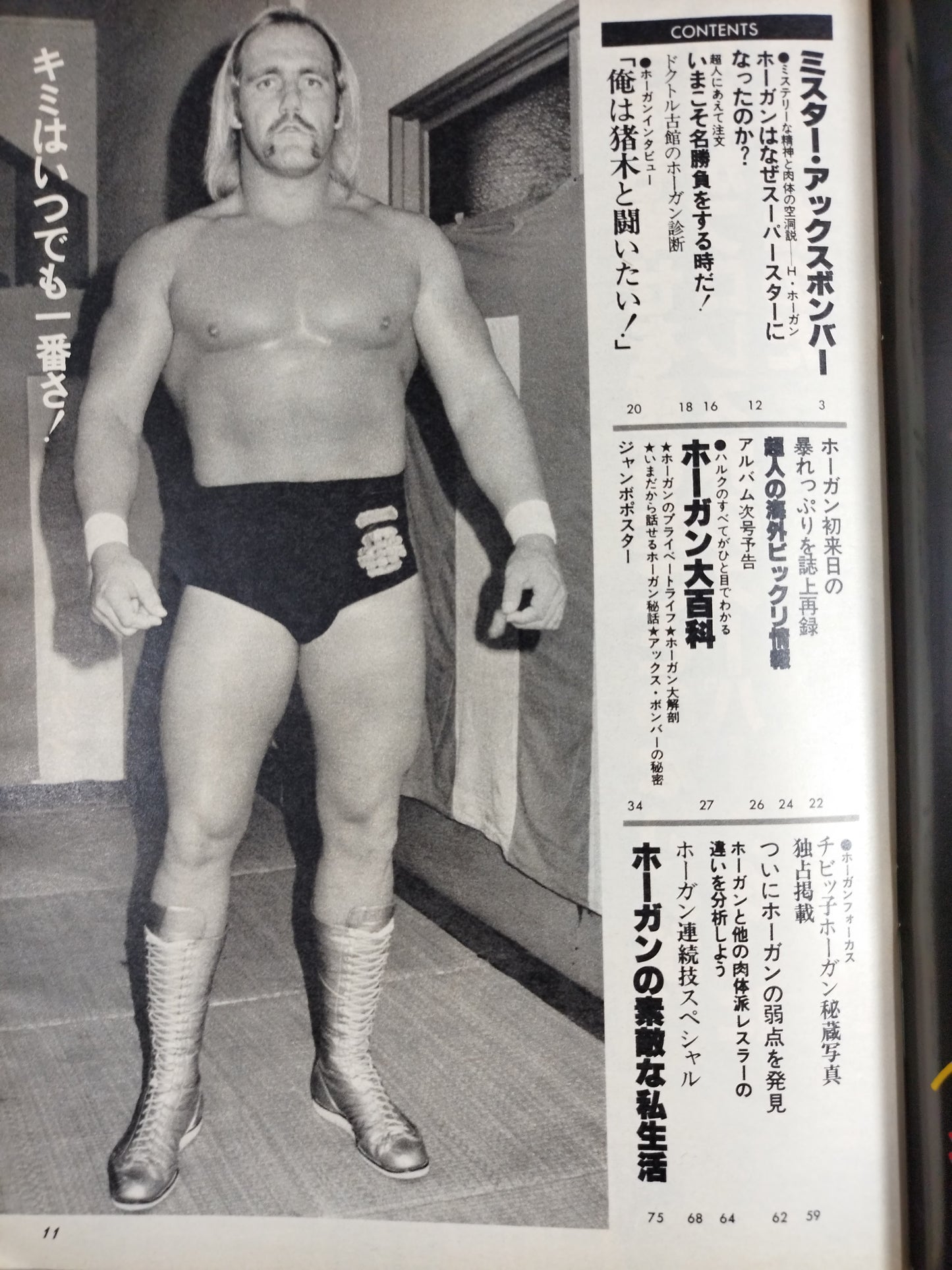 プロレスアルバム40 一番ハルク・ホーガン