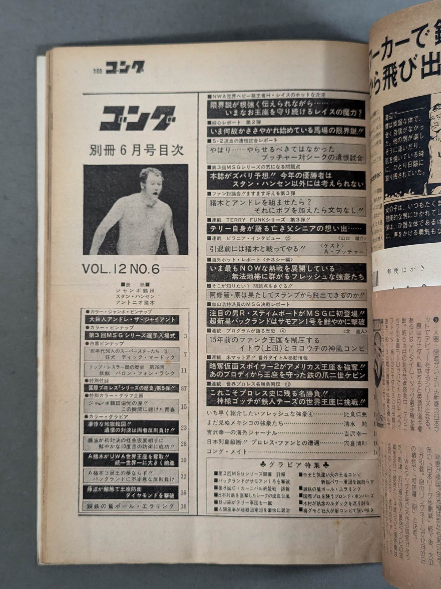 別冊ゴングVol.12 No.6
