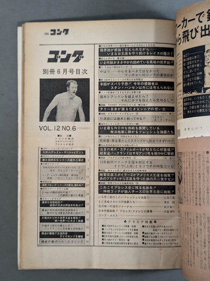 別冊ゴングVol.12 No.6
