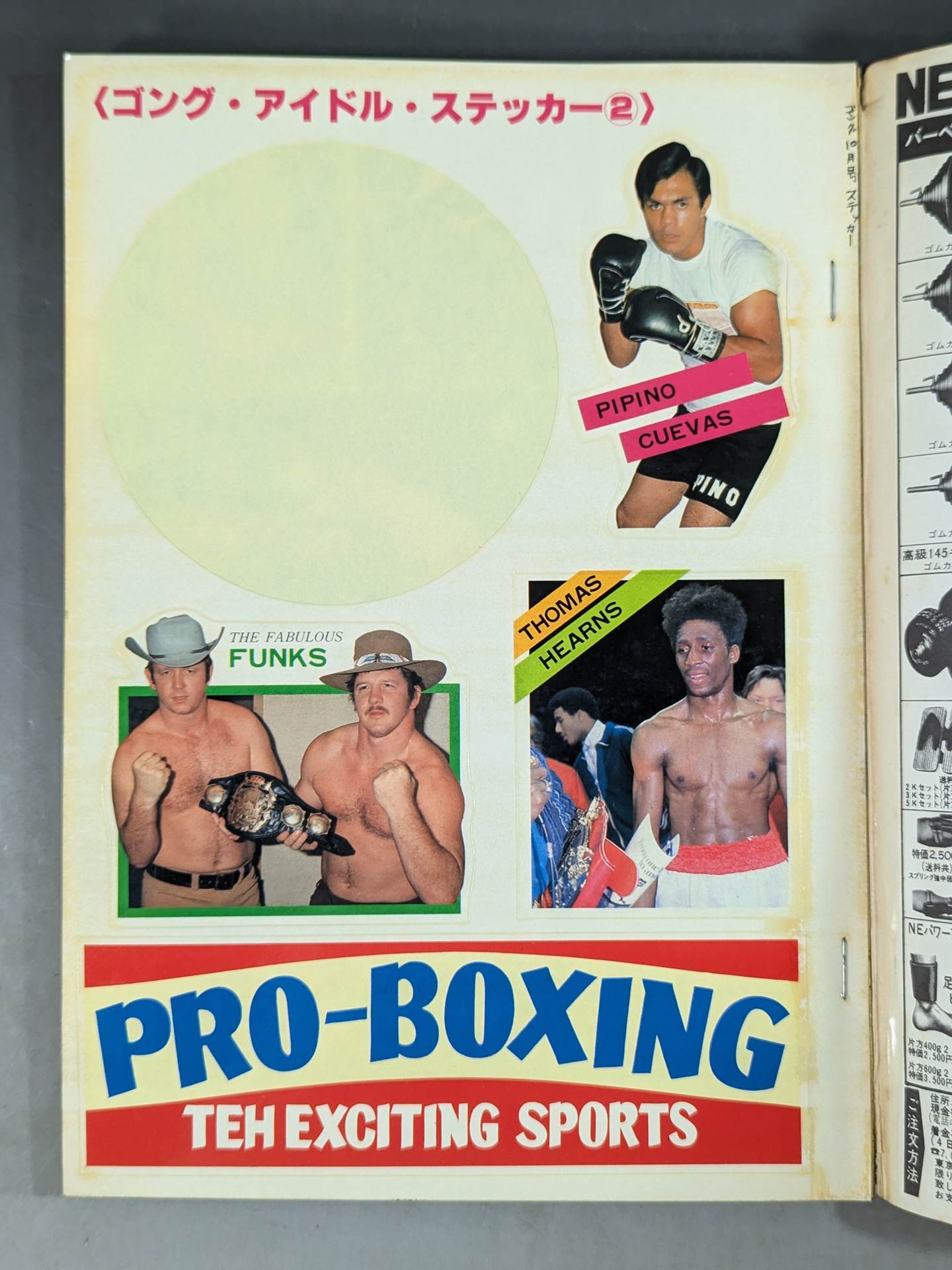 月刊ゴングVol.14 No.10
