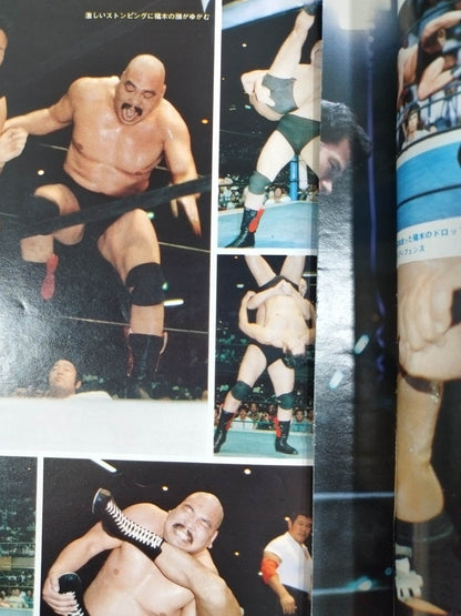 月刊プロレス 1983年6月号増刊