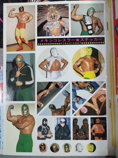 週刊プロレス別冊4 ｢VIVA!LUCHA LIBRE ビバ!ルチャ・リブレ｣