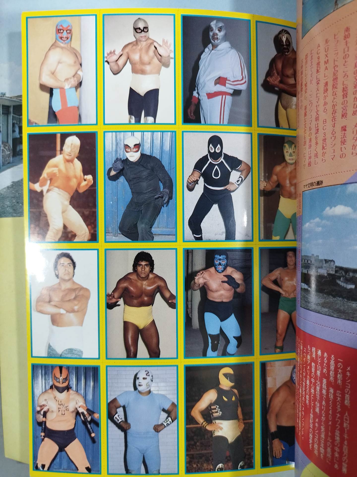 週刊プロレス別冊4 ｢VIVA!LUCHA LIBRE ビバ!ルチャ・リブレ｣