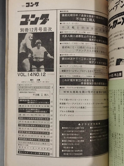 別冊ゴングVol.14 No.12