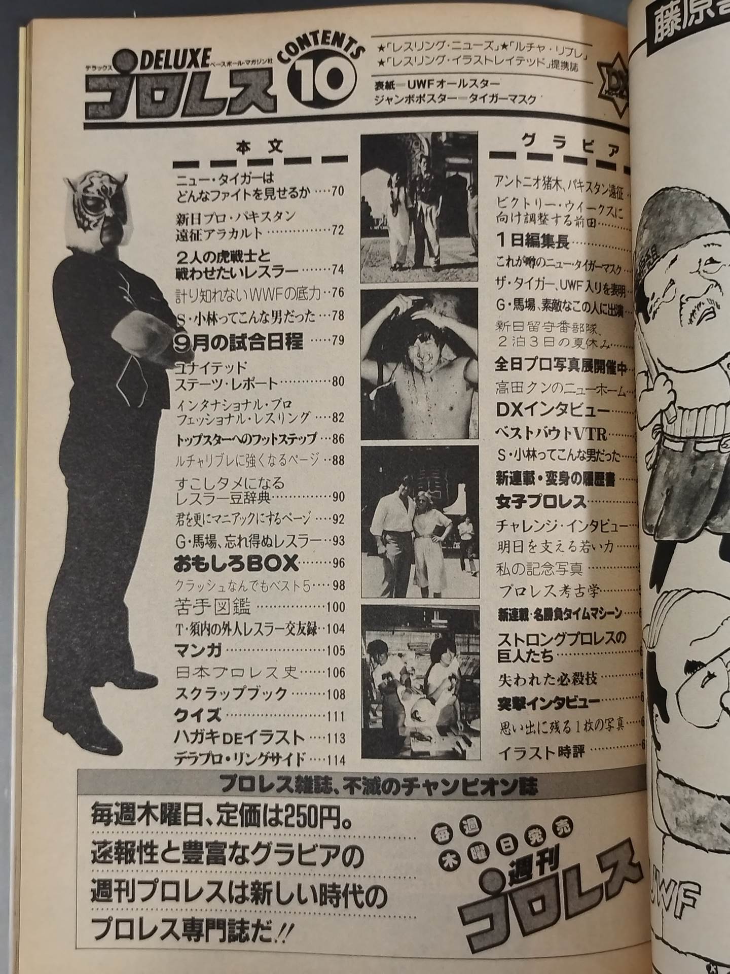 デラックスプロレス 1984年10月号