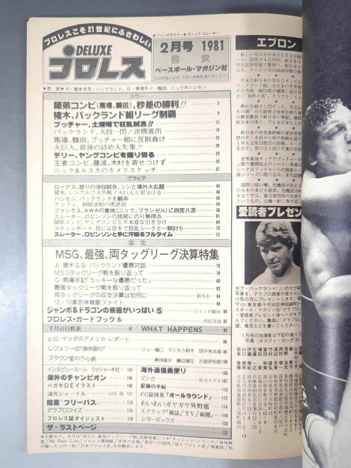 デラックスプロレス 1981年2月号