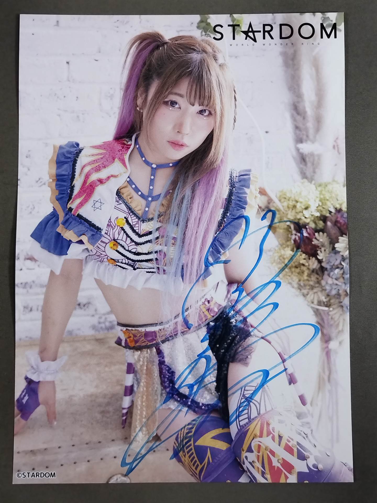 中野たむ 直筆サイン入り スターダムポートレート(A-3)
