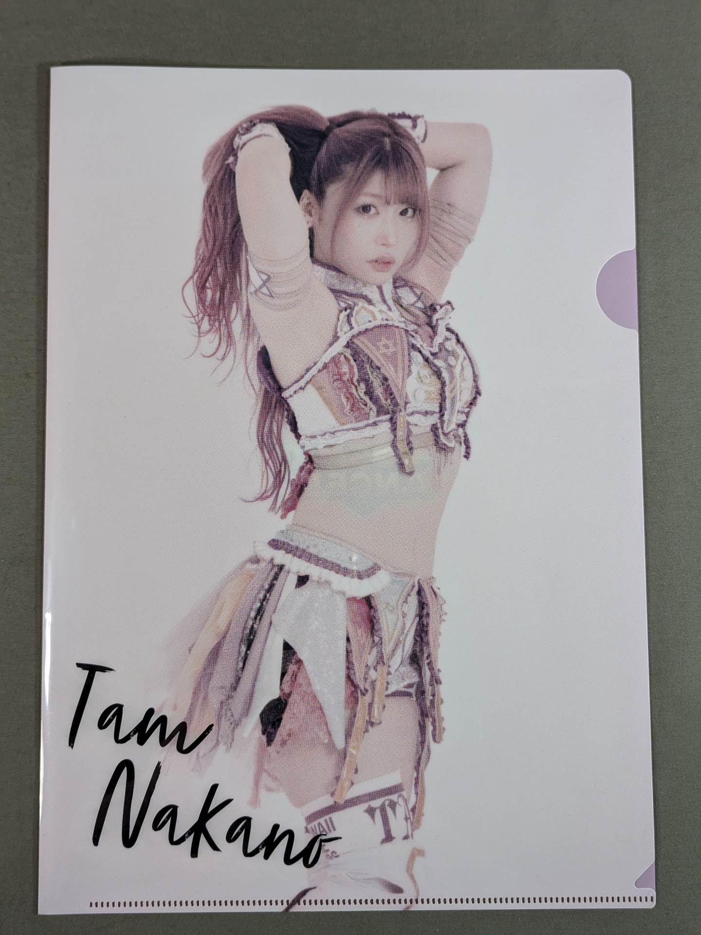 Tam Nakano  SPG limited plastic file folder