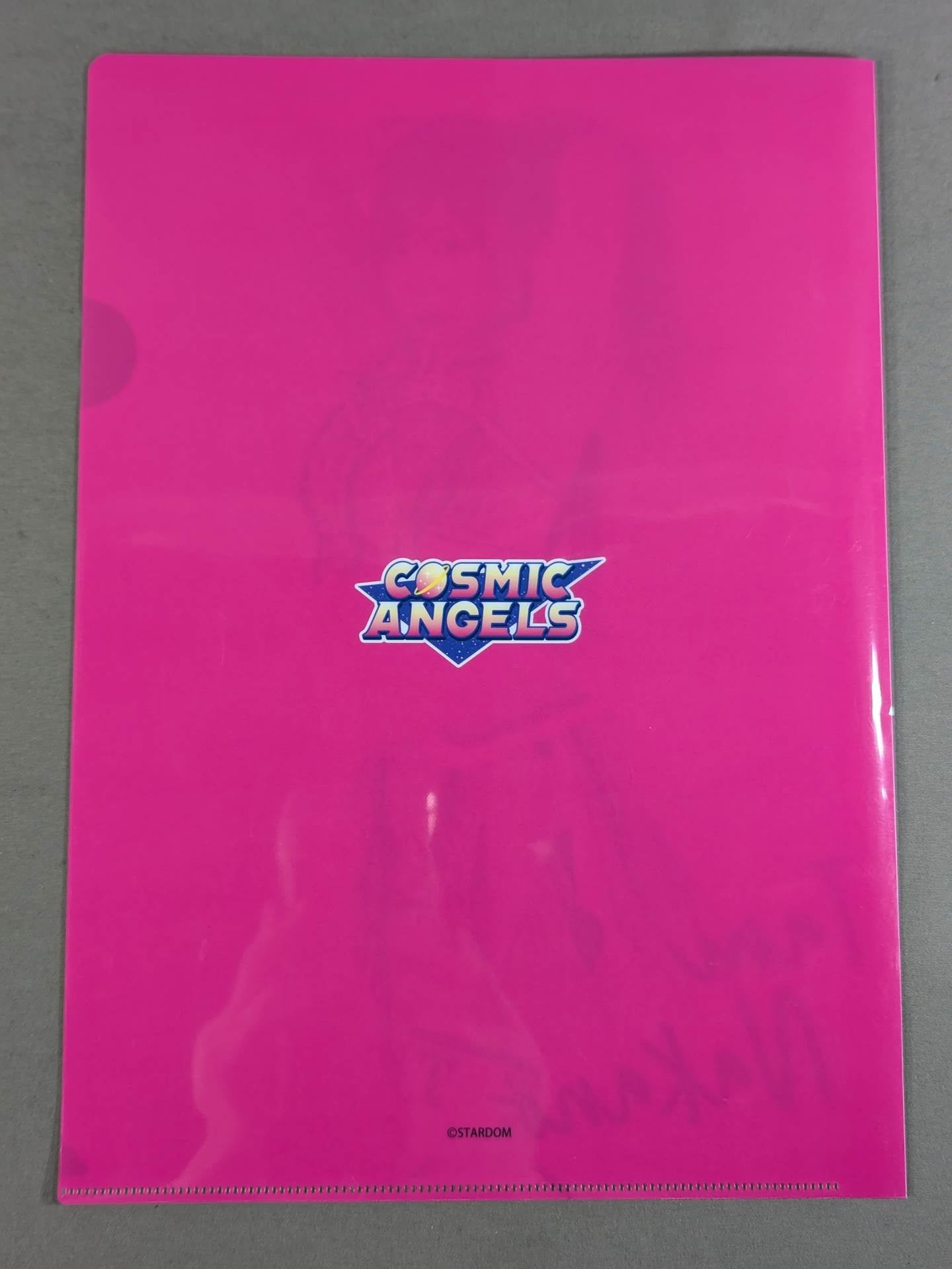 Tam Nakano  SPG limited plastic file folder