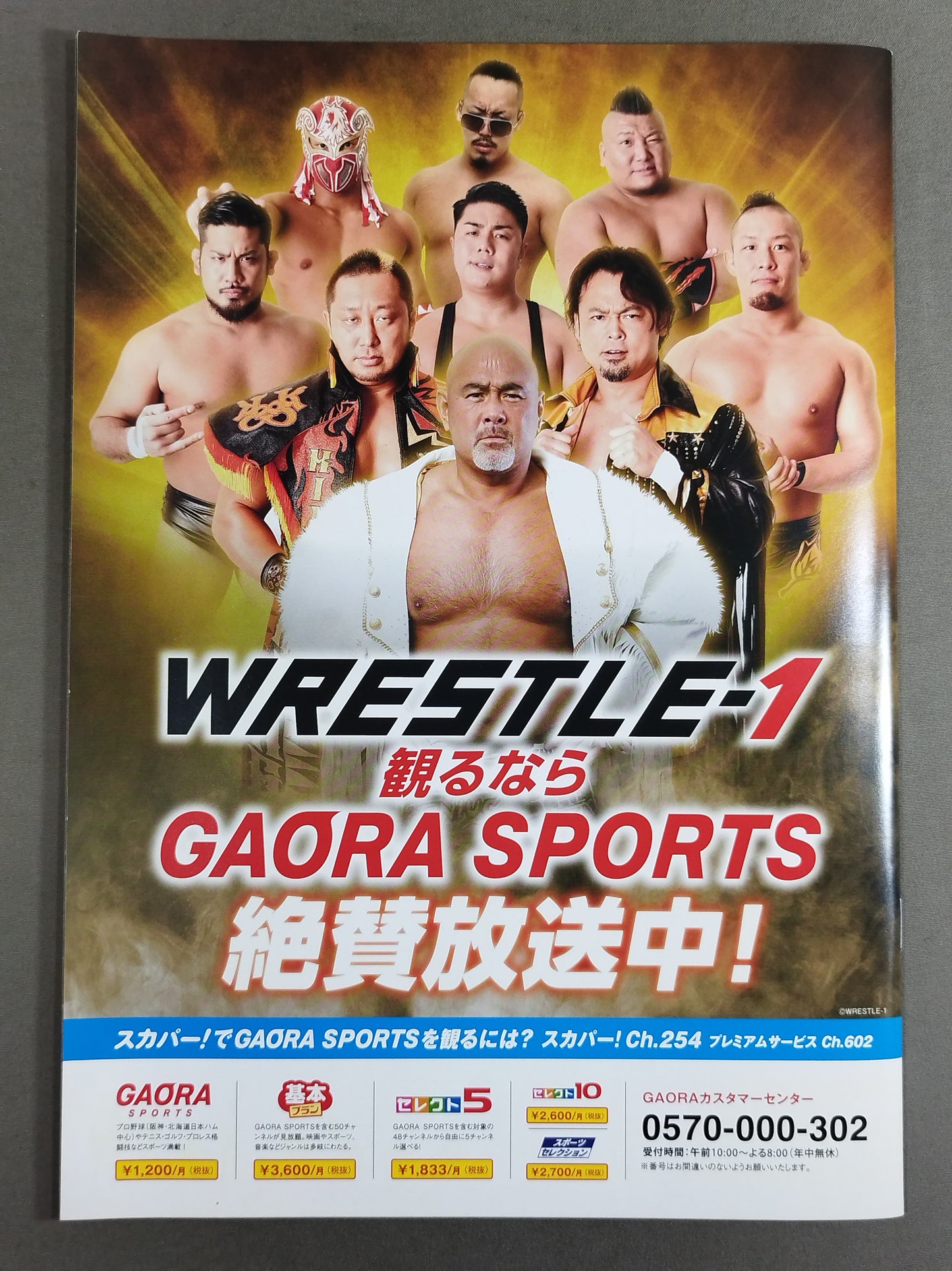 WRESTLE-1  OFFICIAL GUIDE BOOK 2019 No.4