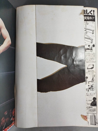 Monthly Pro Wrestling March 1979 issue