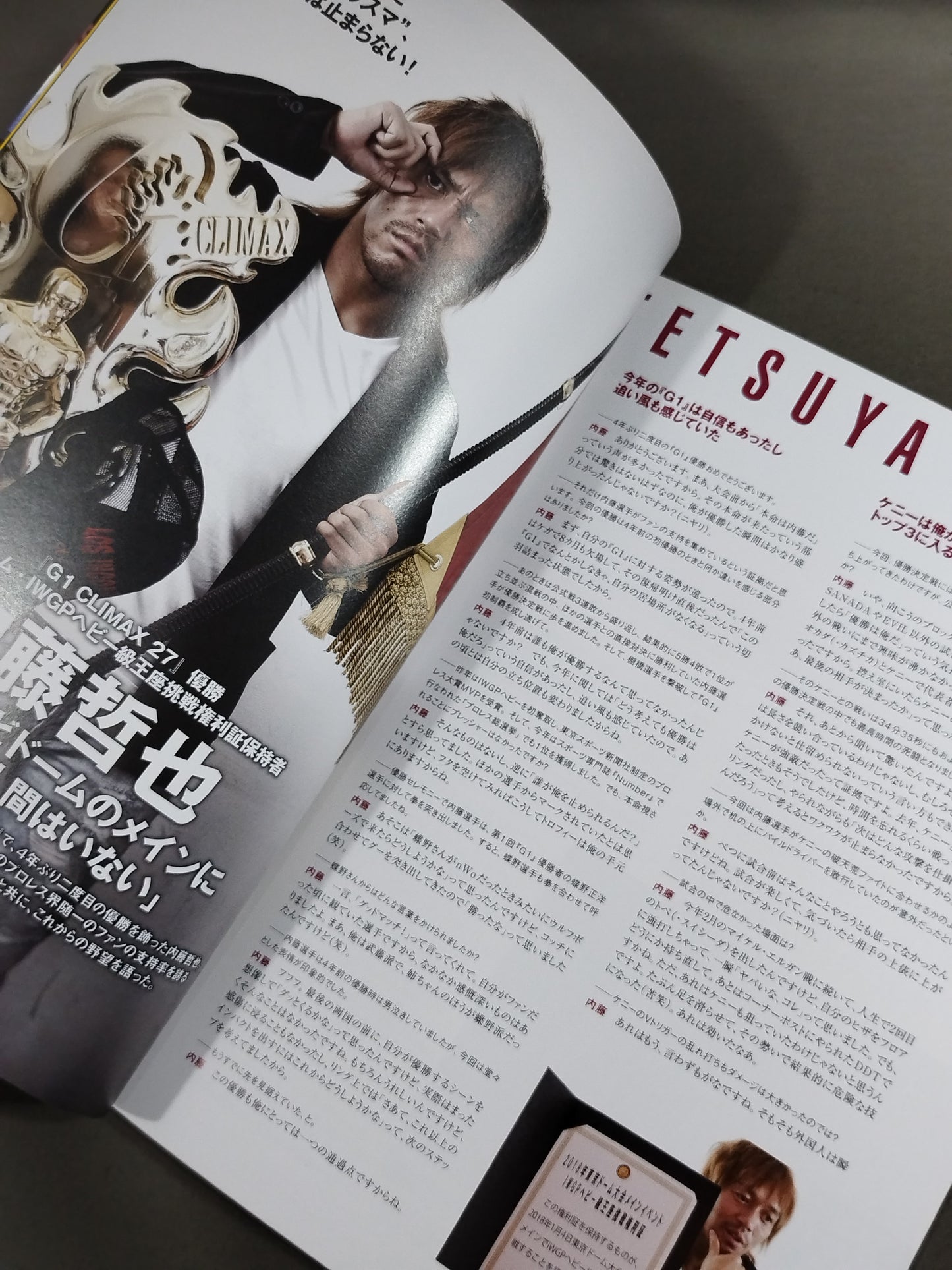 NJPW OFFICIAL MAGAZINE 2017 Vol.6