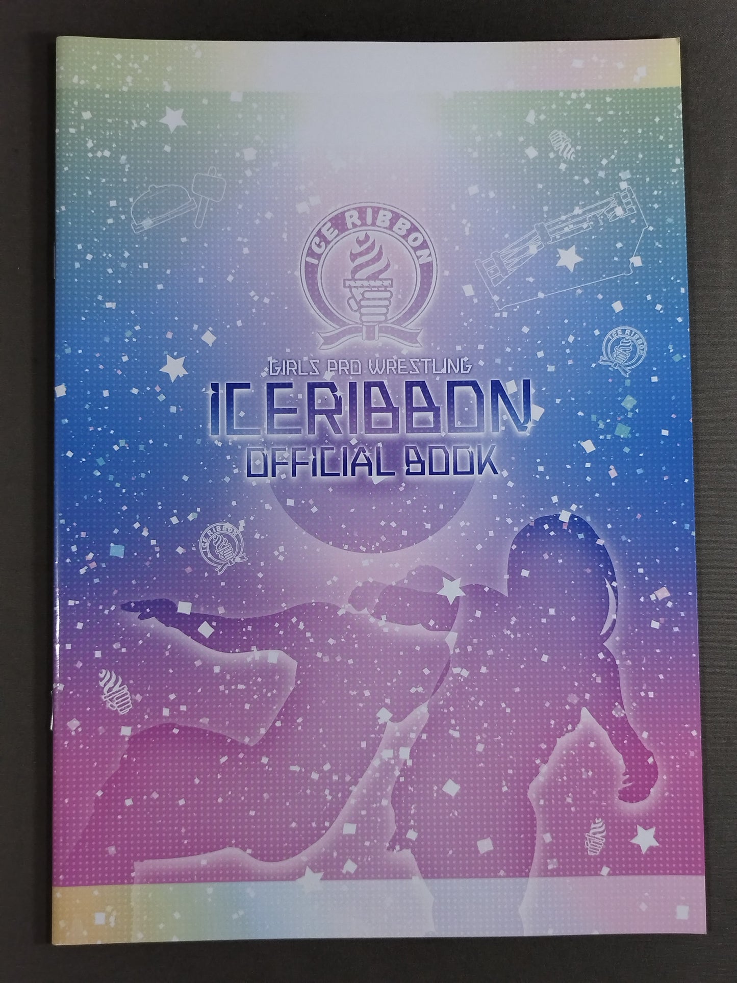 Ice Ribbon Pamphlet (2019/3/31)