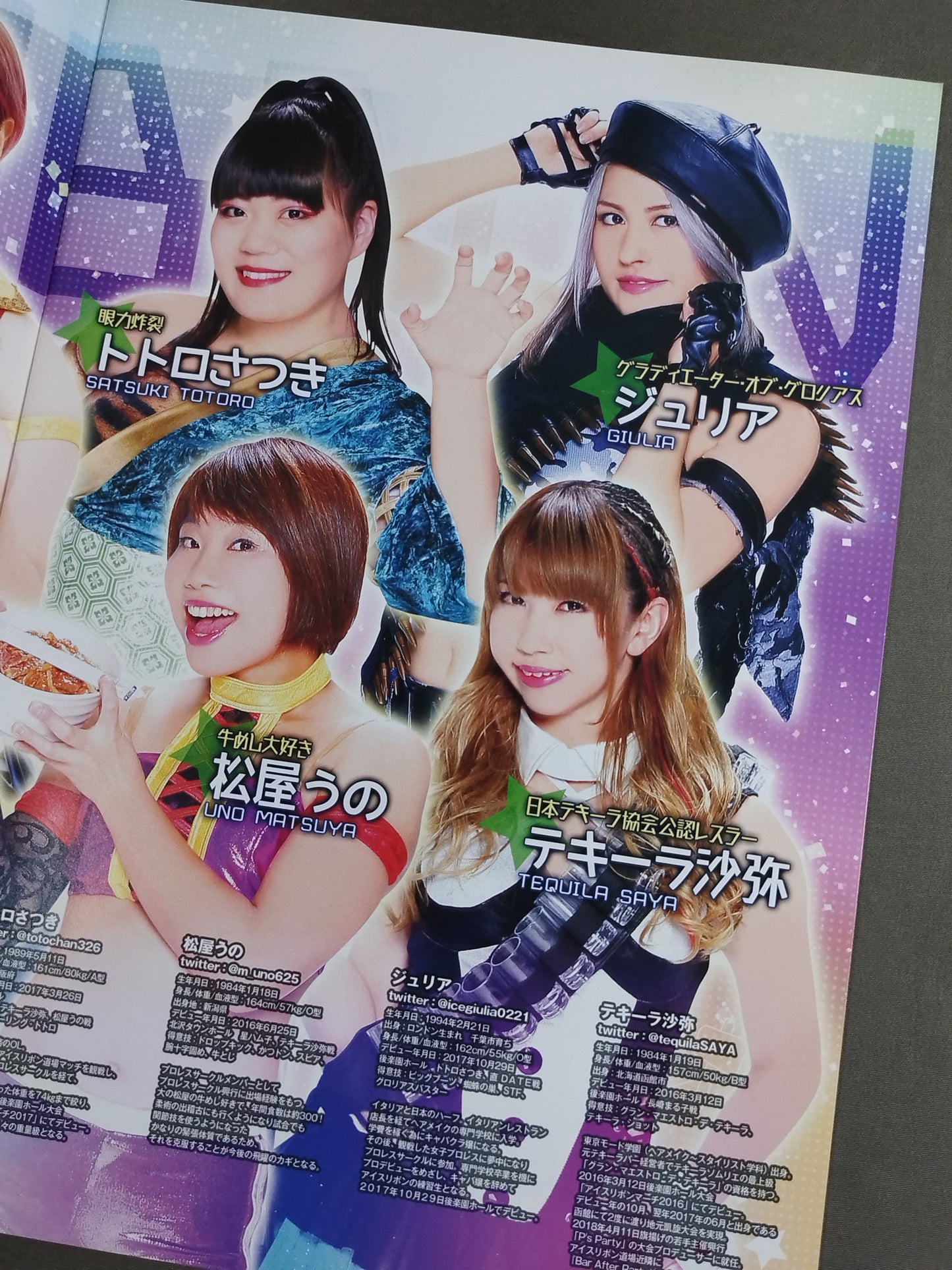 Ice Ribbon Pamphlet (2019/3/31)