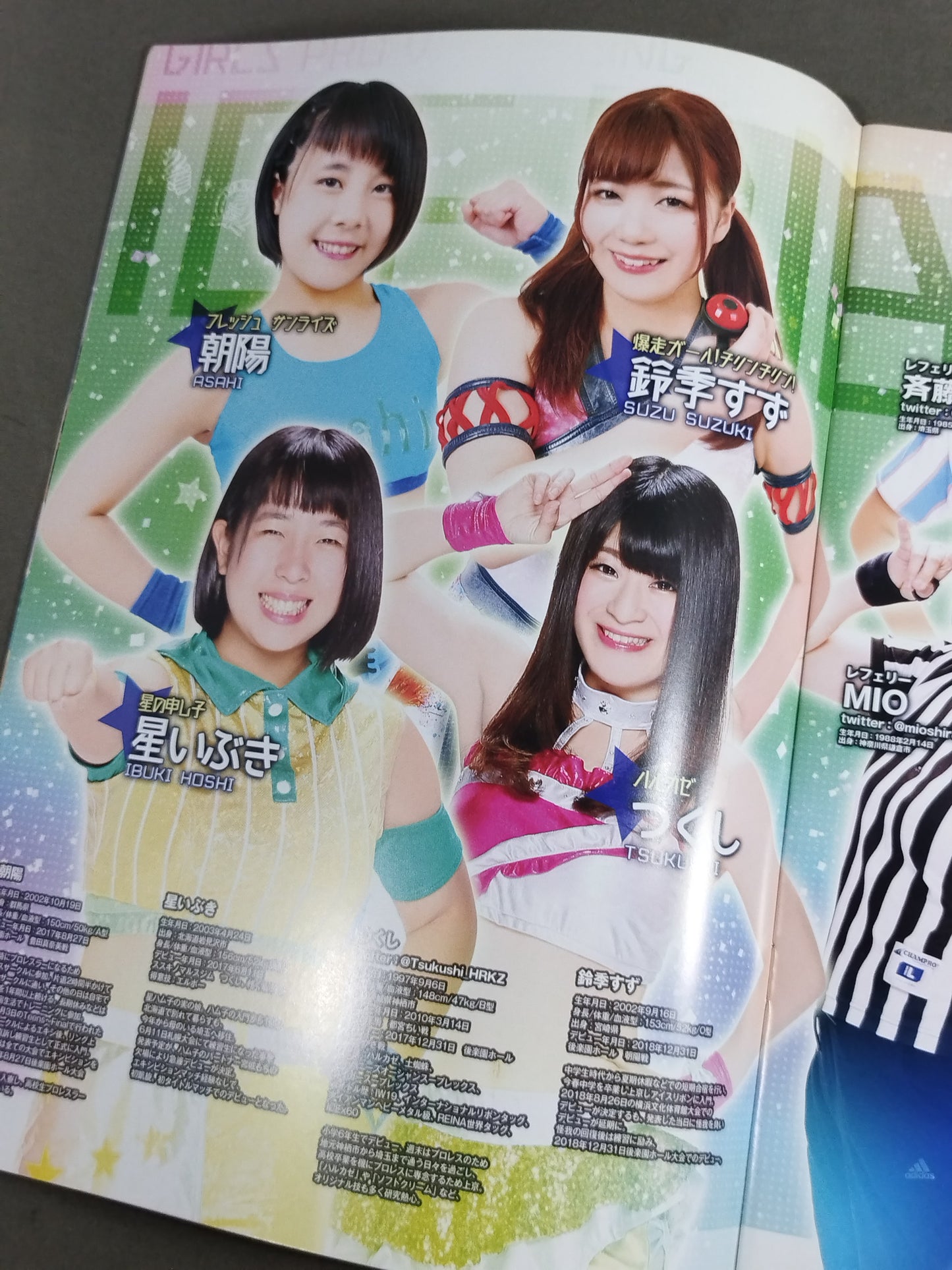Ice Ribbon Pamphlet (2019/3/31)
