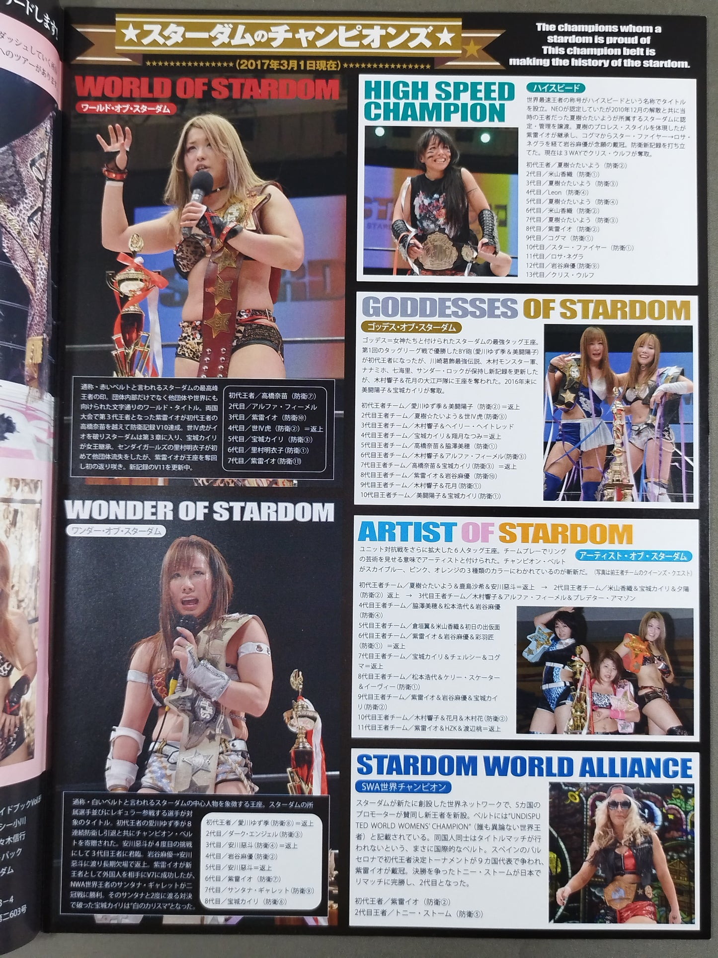 STARDOM OFFICIAL GUIDE BOOK Vol.89