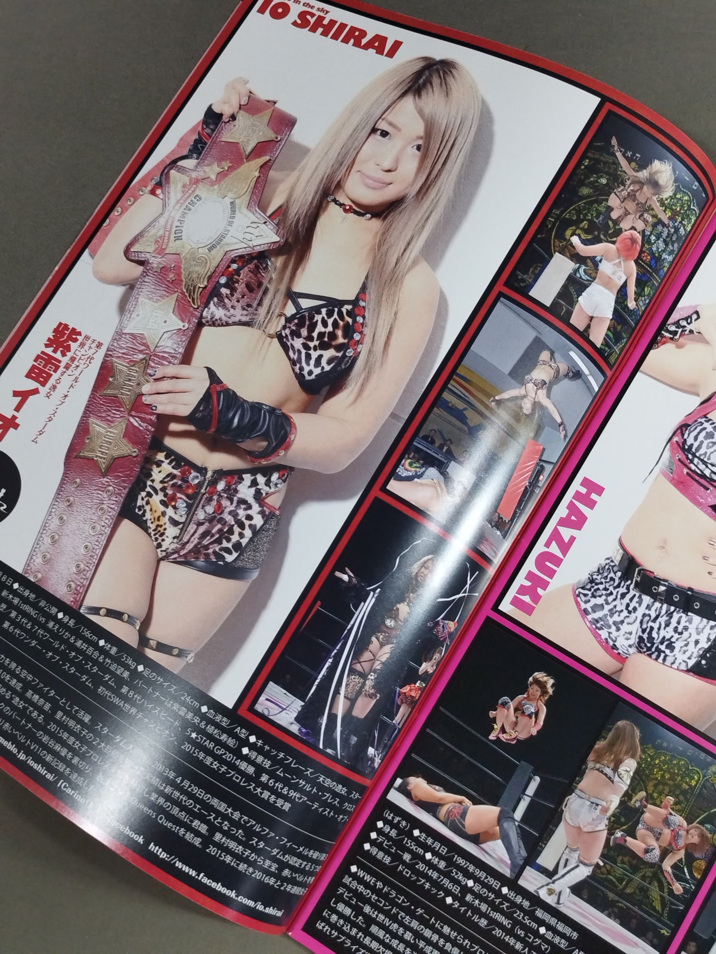 STARDOM OFFICIAL GUIDE BOOK Vol.89