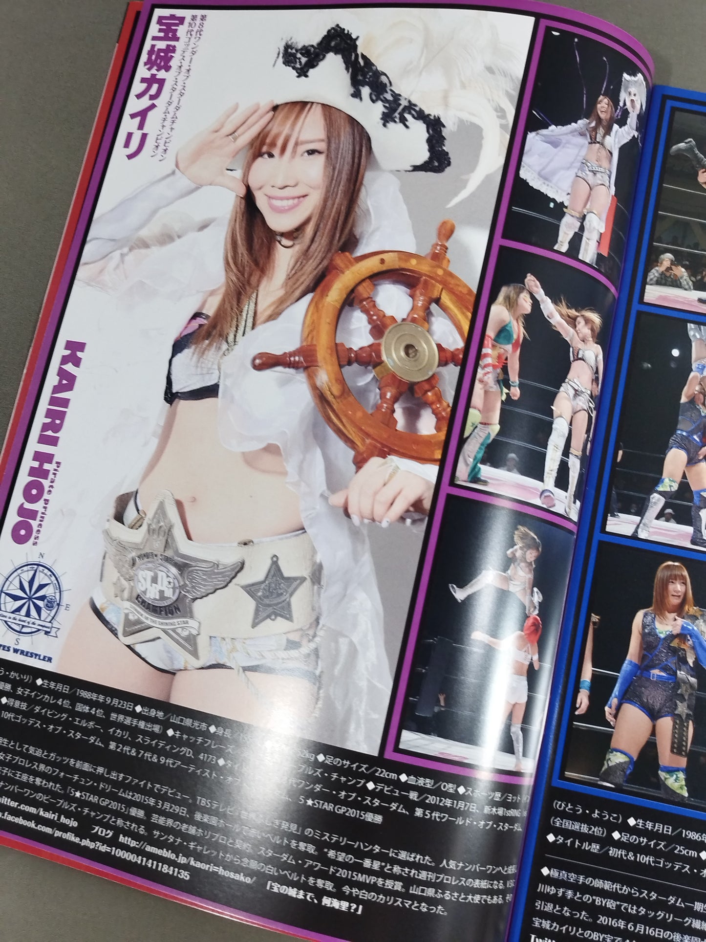 STARDOM OFFICIAL GUIDE BOOK Vol.89