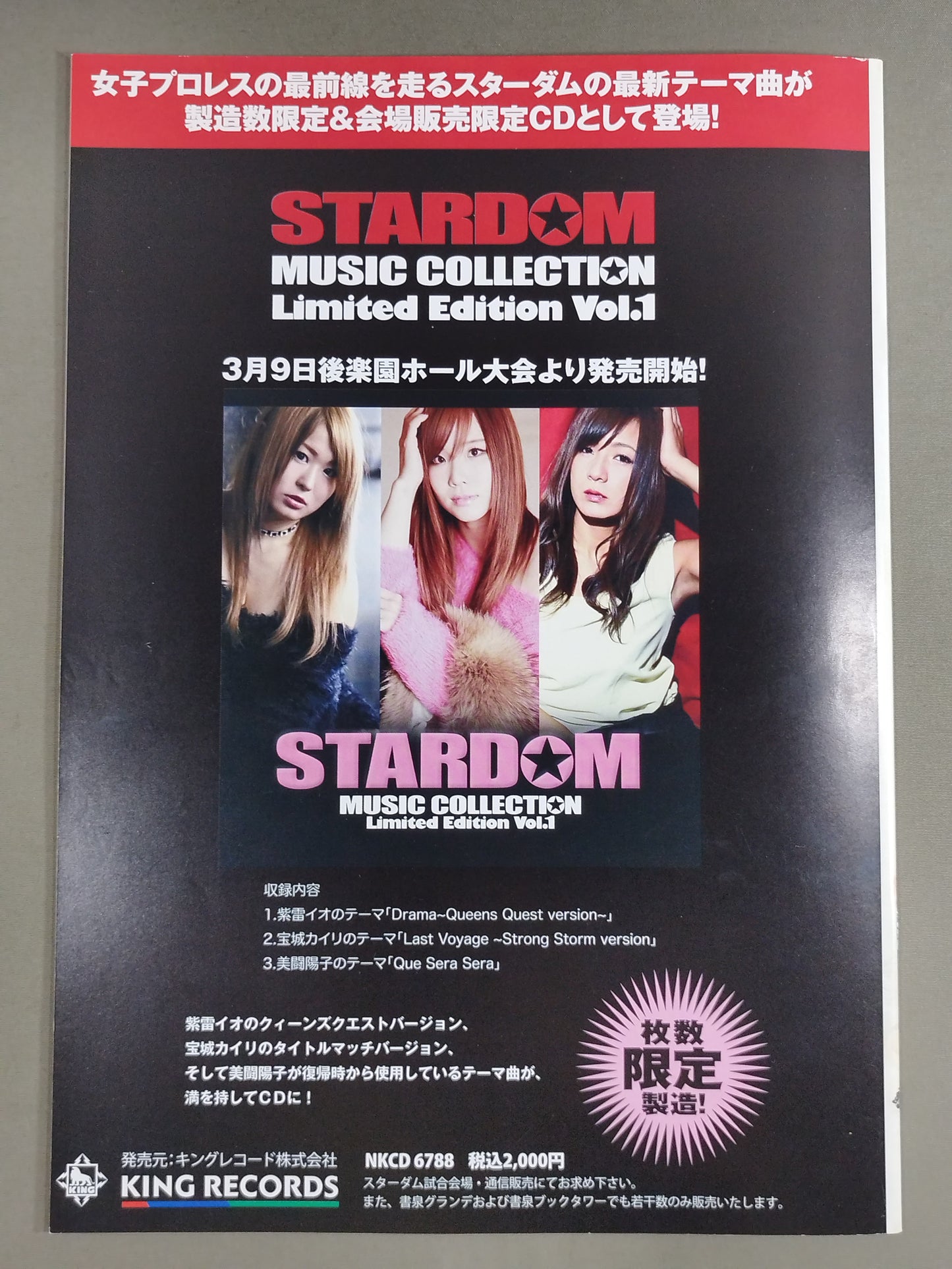 STARDOM OFFICIAL GUIDE BOOK Vol.89
