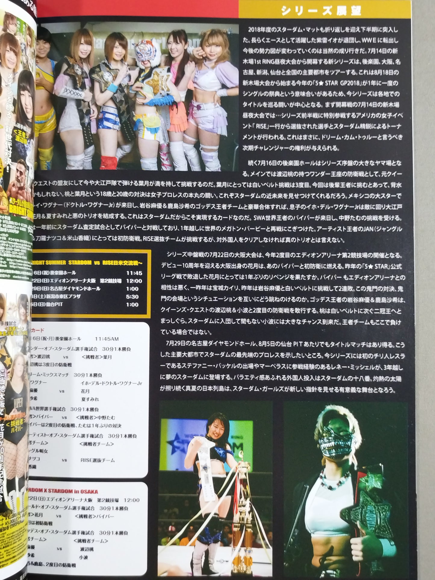 STARDOM OFFICIAL GUIDE BOOK Vol.110